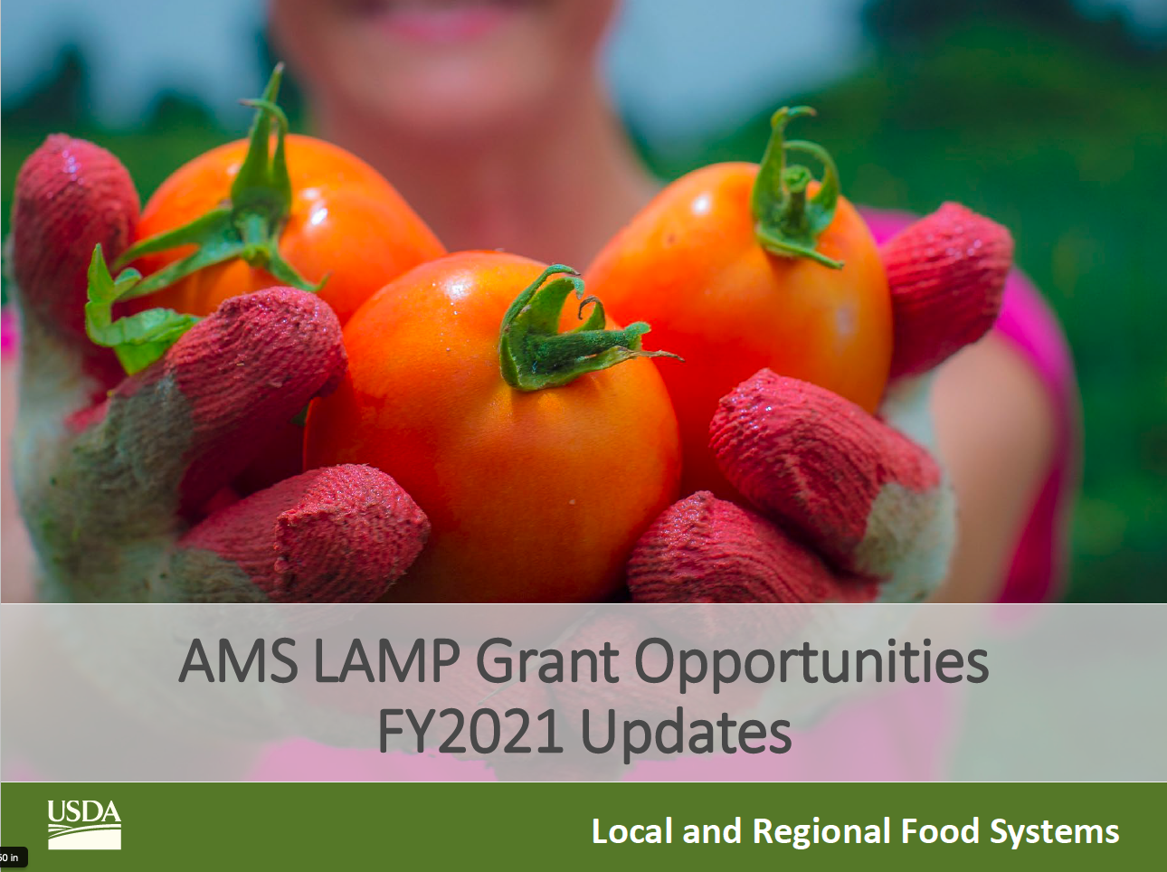 Webinar series USDA Grants for shared kitchens The Food